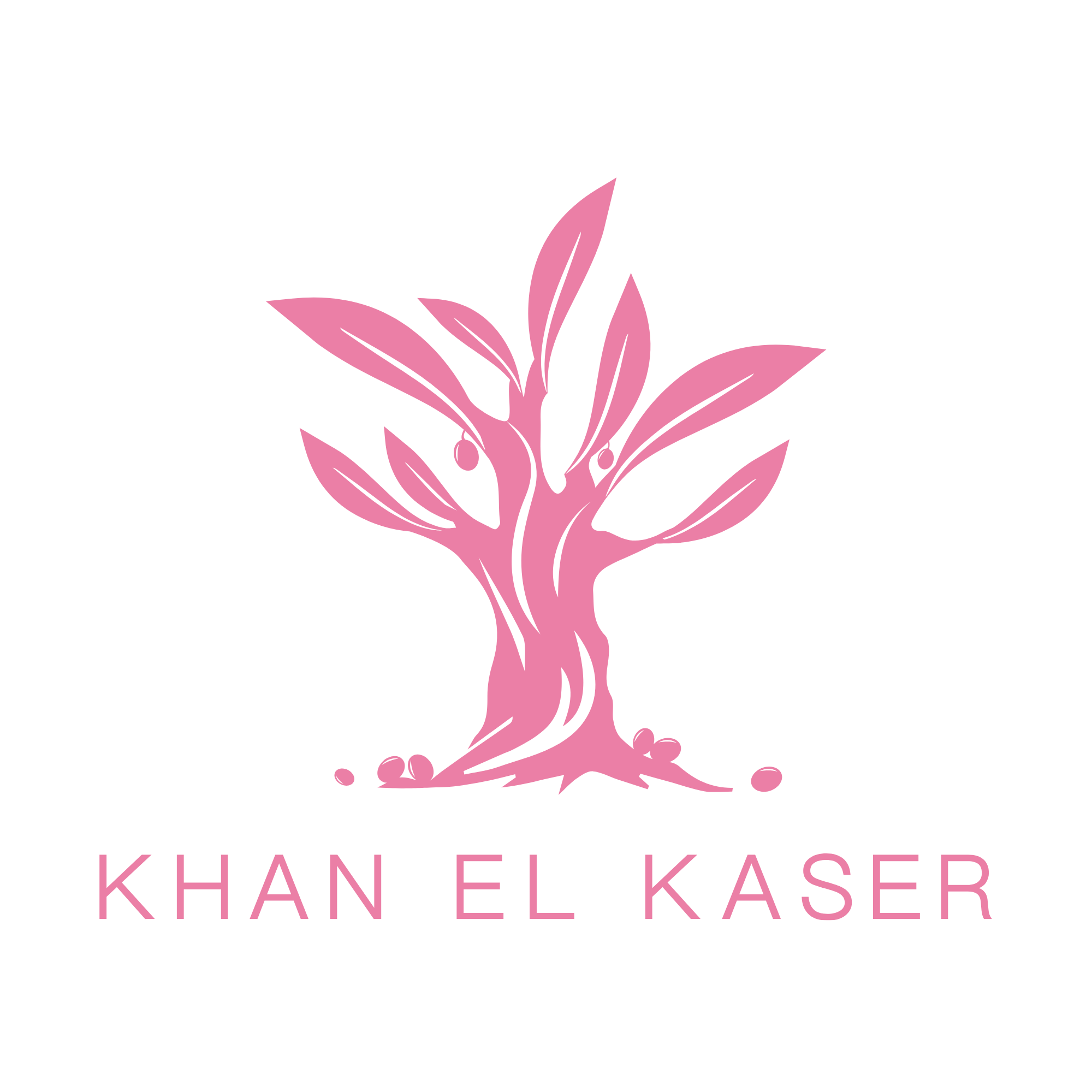 Khan El Kaser LB